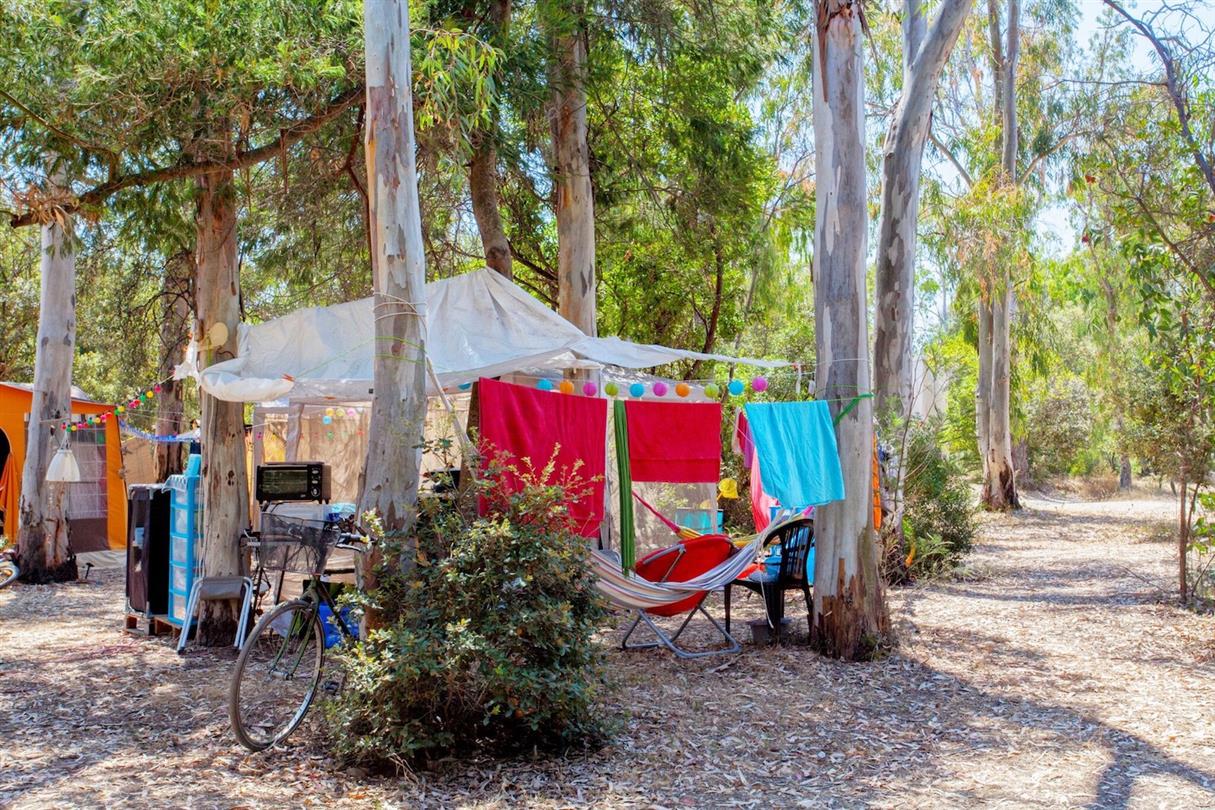 Sea view tent pitches in 4-star naturist campsite near Aleria