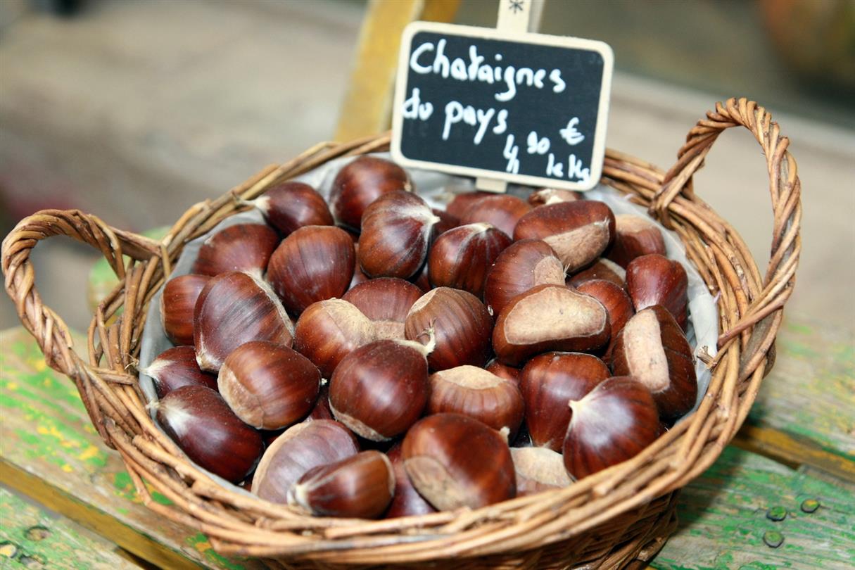 Chestnuts - Bagheera naturist center in Corsica