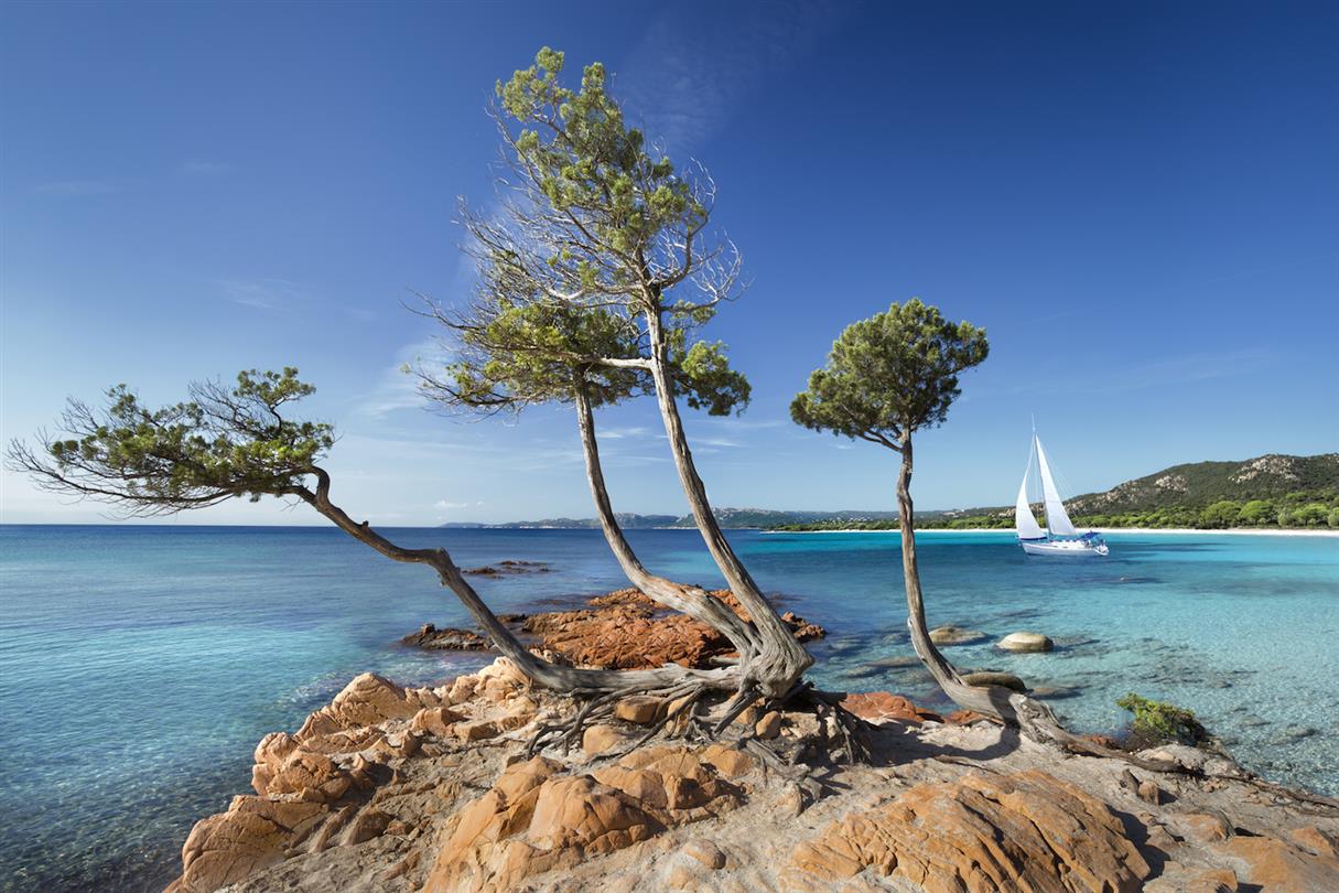 Corsican landscapes - Domaine de Bagheera