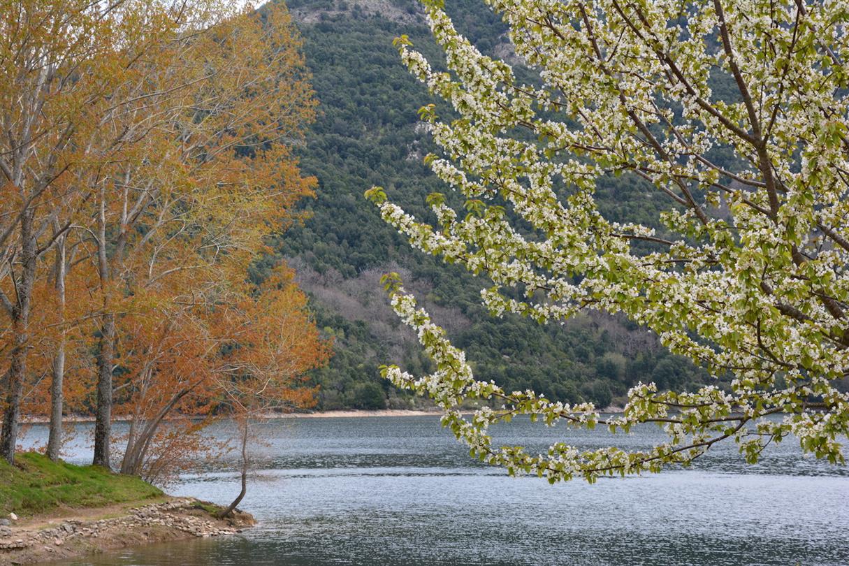 Corsican landscapes - Domaine de Bagheera