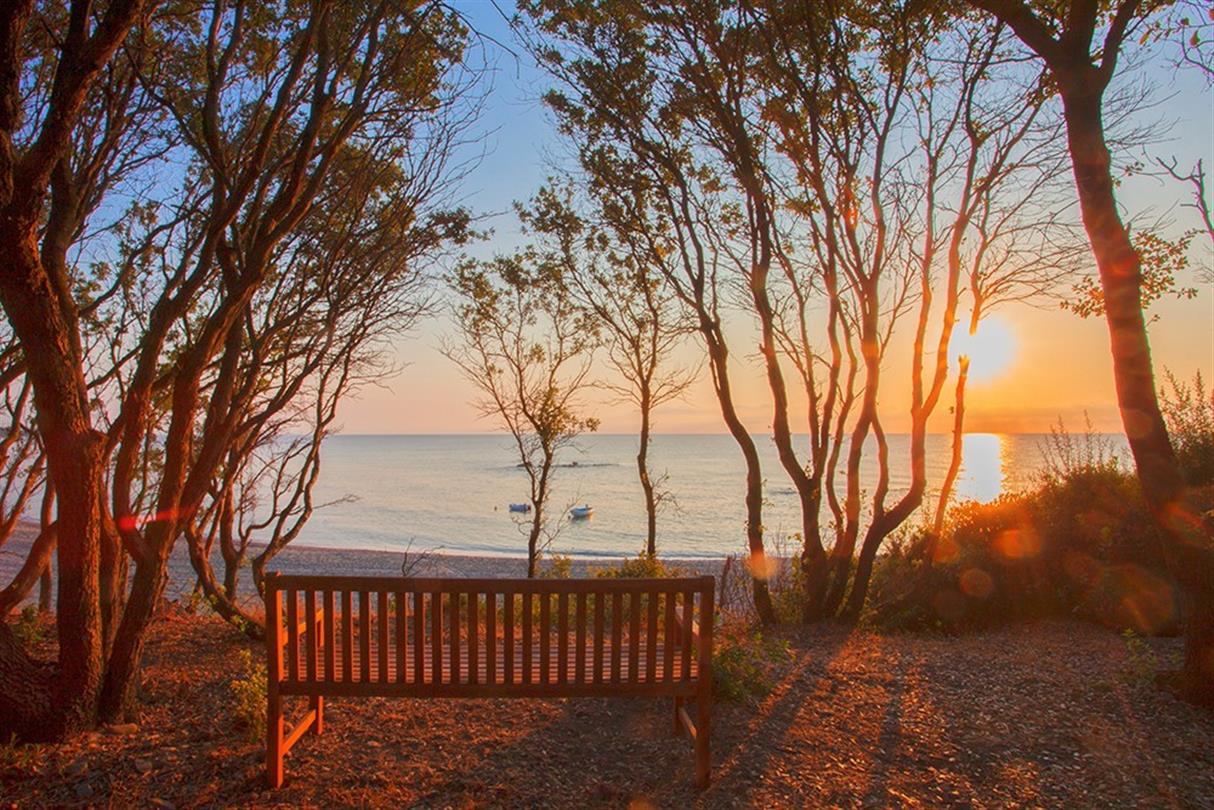 Camping pitches with a sea view, naked camping in Corsica  - Domaine de Bagheera