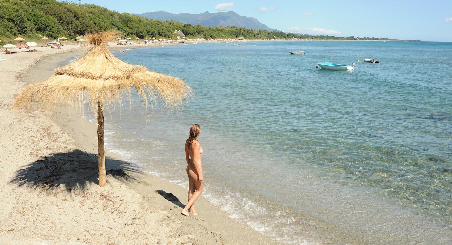 Palm tree umbrella on Bagheera beach - Corsica naturist campsite