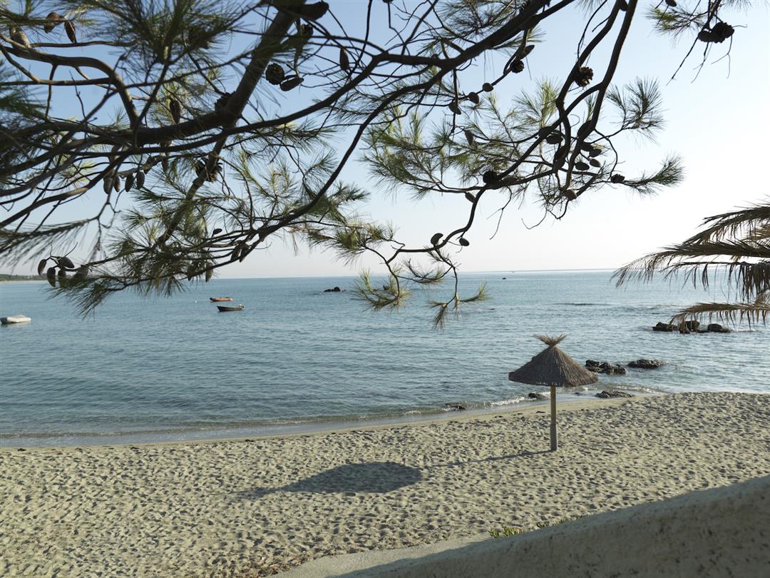 Nudist beach in Bravone - Corsican naturist campsite