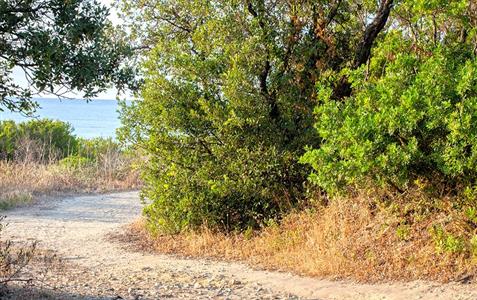 Path to U Stagnolu pond - Domaine de Bagheera, Corsican naturist campsite
