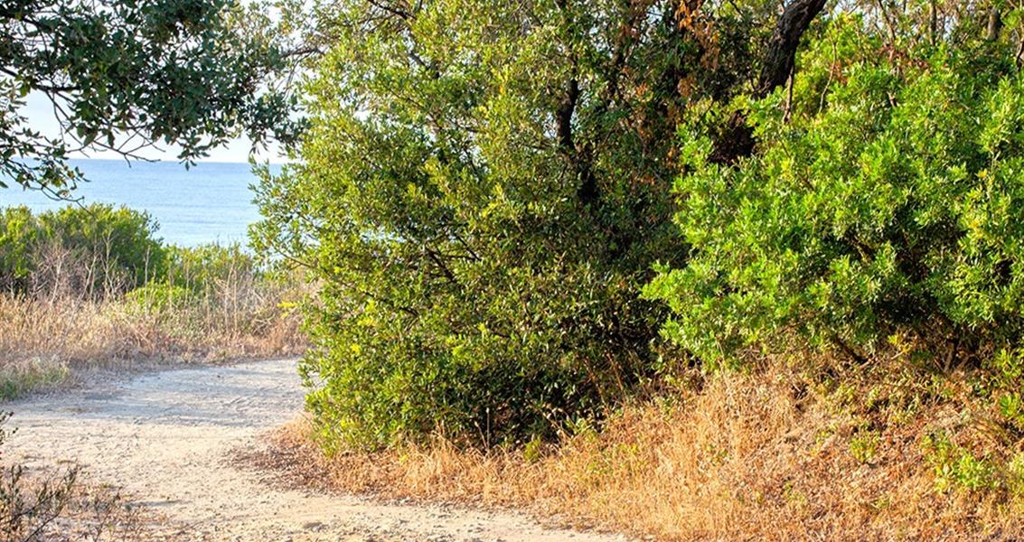 Path to U Stagnolu pond - Domaine de Bagheera, Corsican naturist campsite