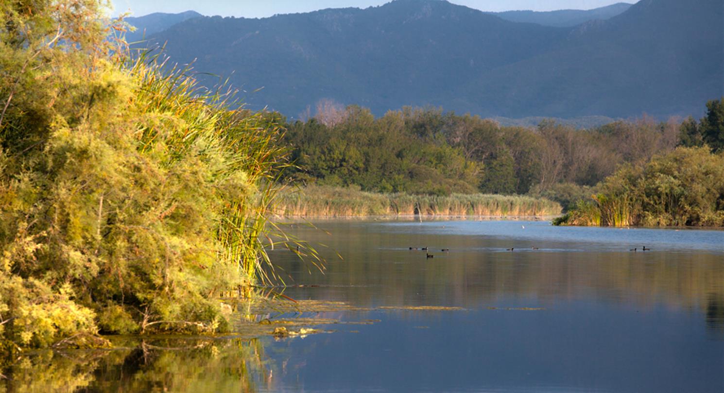 Etang U Stagnolu at the Corsican naturist campsite, Domaine de Bagheera