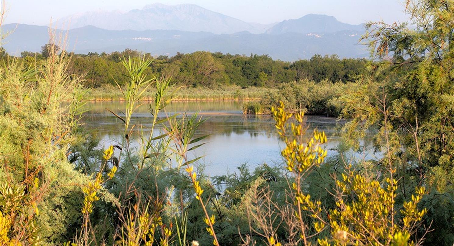 pond U Stagnolu - Domaine de Bagheera, Corsican naturist holidays