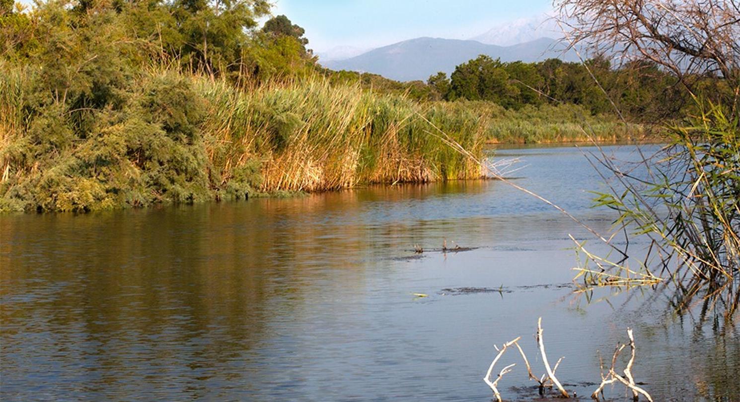 Domaine de Bagheera, naturist campsite in Corsica and its U Stagnolu pond