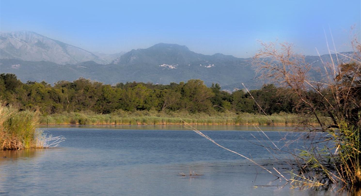 Etang U Stagnolu - 4 star Corsican naturist campsite