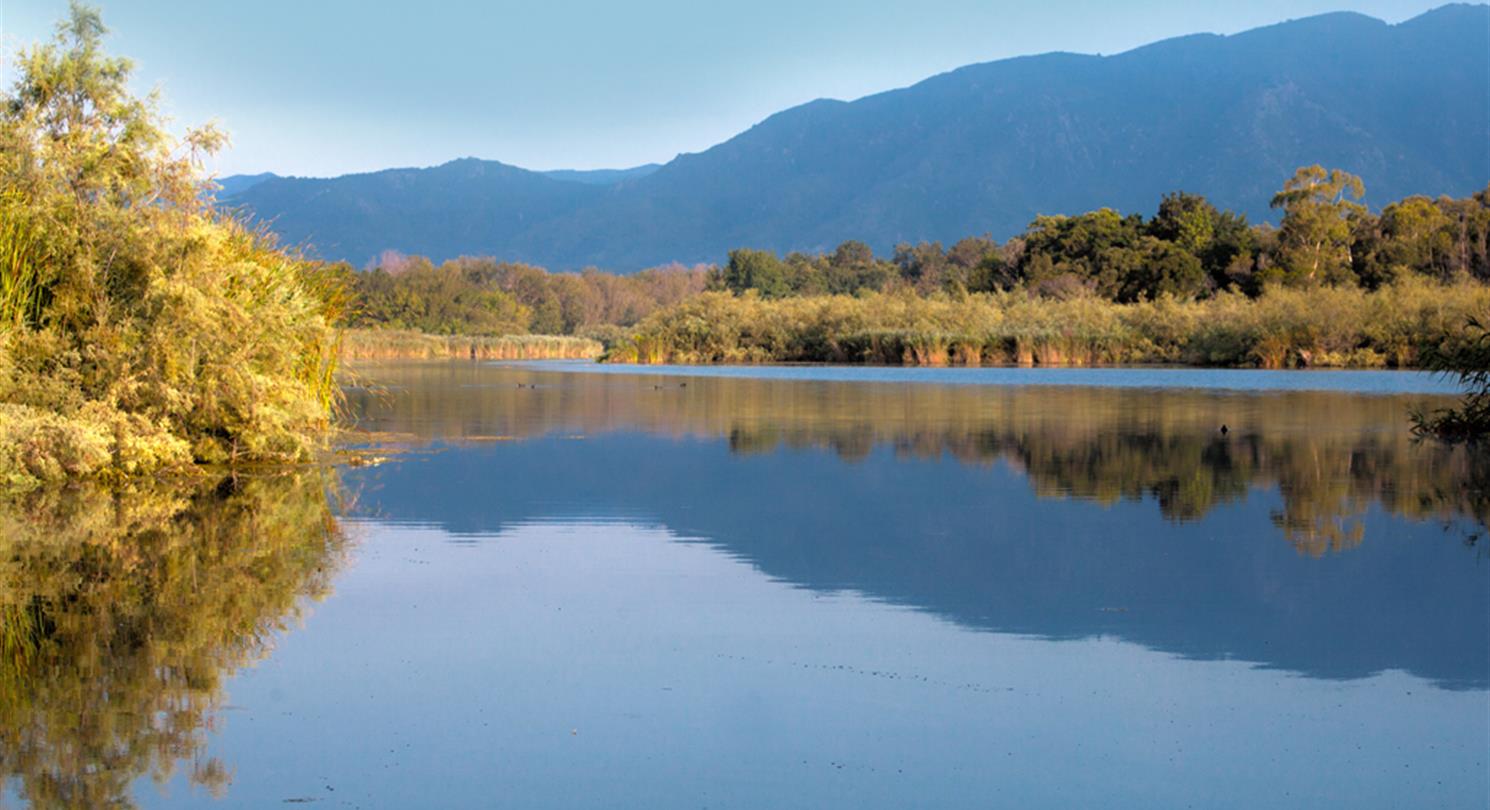 pond with view of the mountains - Domaine de Bagheera, naturist campsite in Corsica