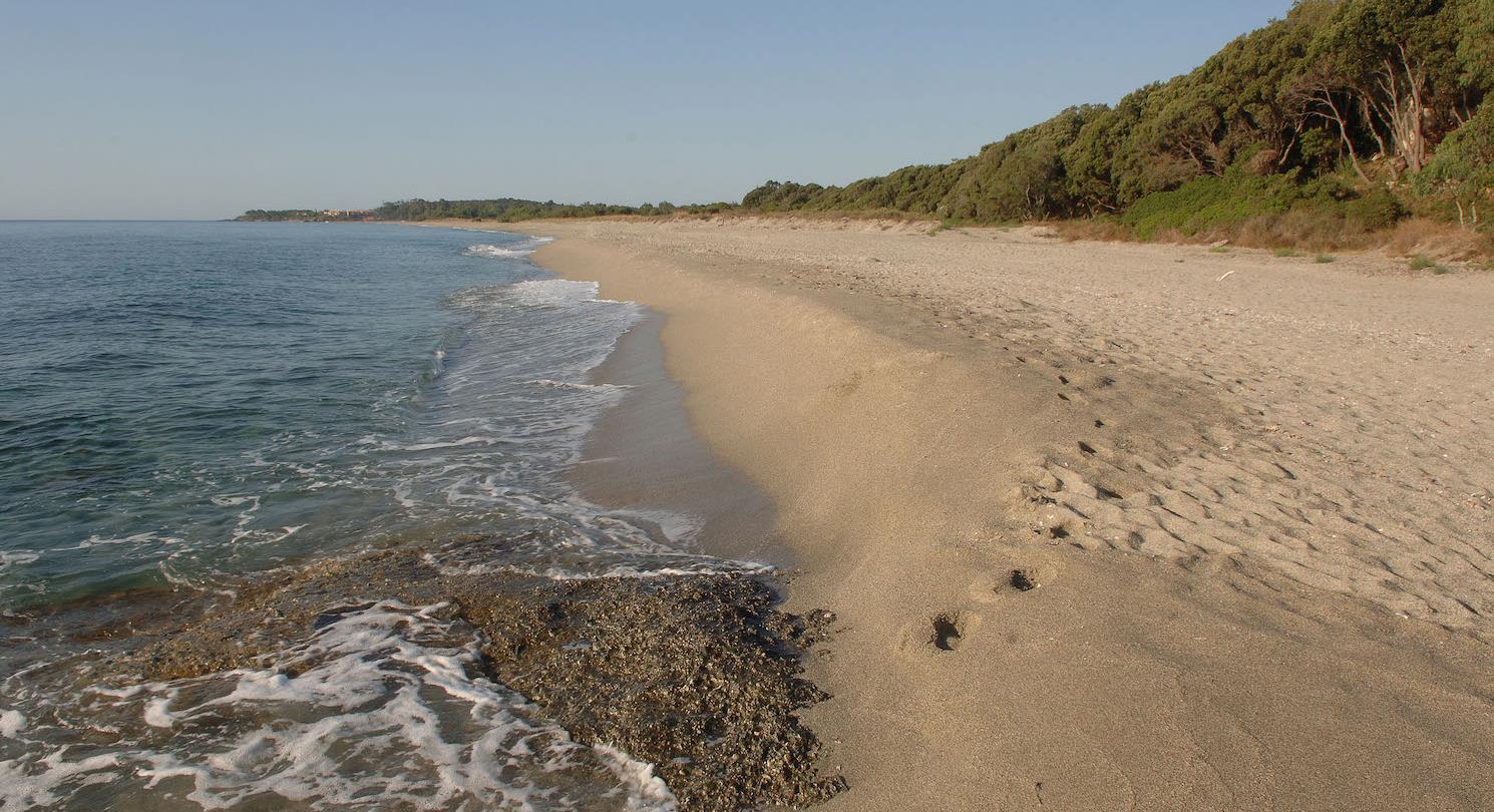 Bagheera beach -  naturist campsite Corsica
