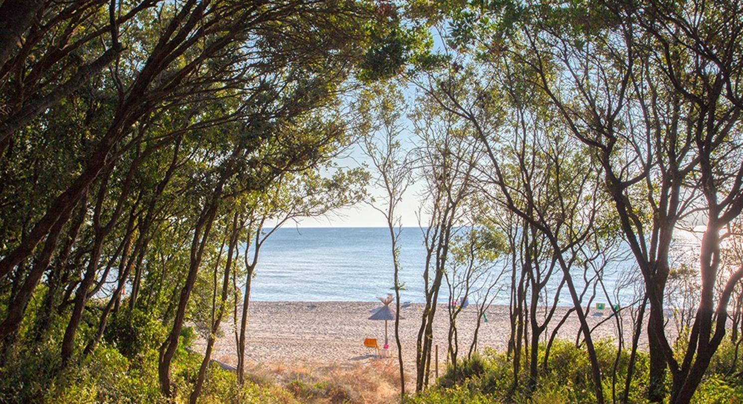 Naturist beach in Corsica - Corsican naturist campsite by the sea
