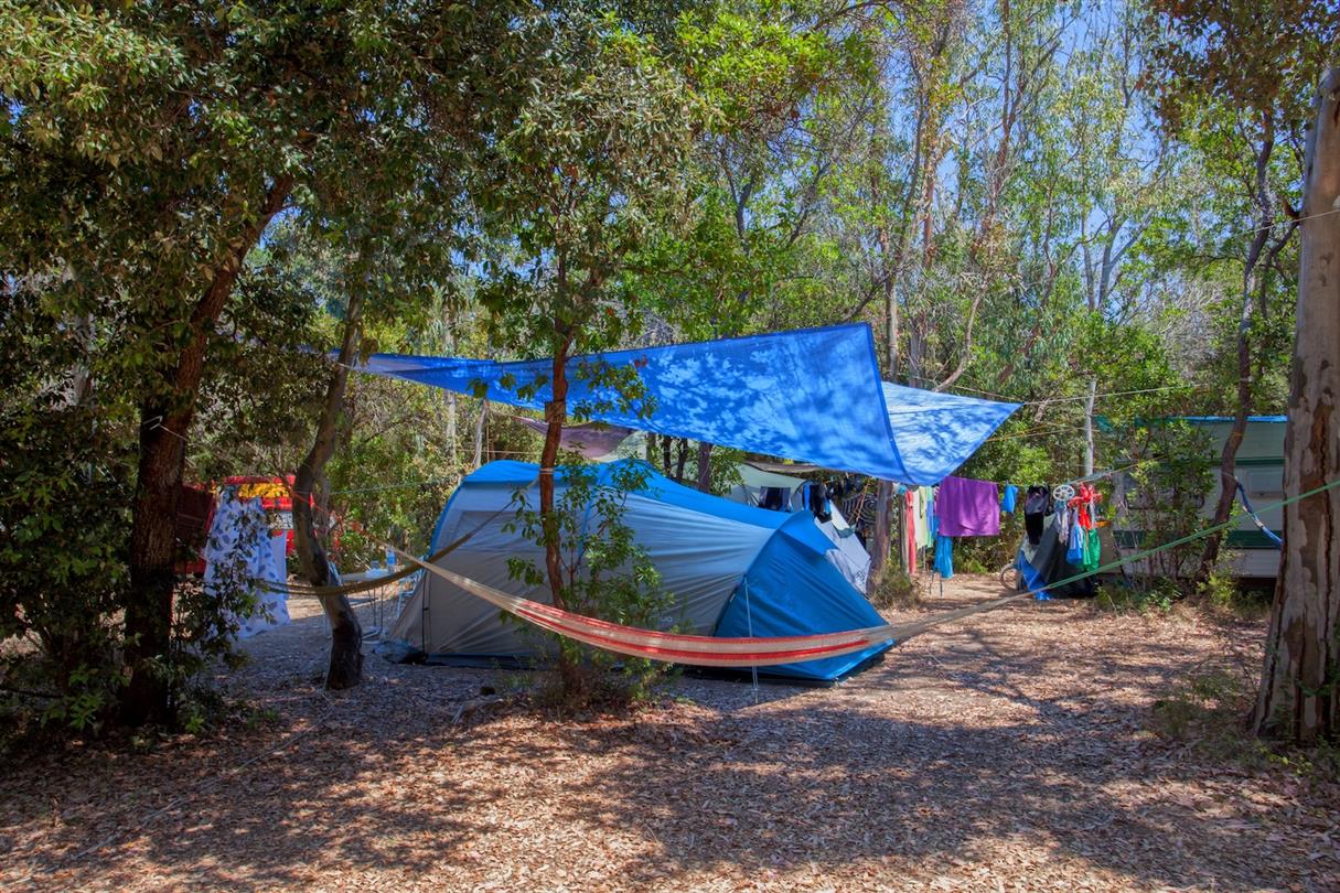 naturist camping Corsica  tent pitche