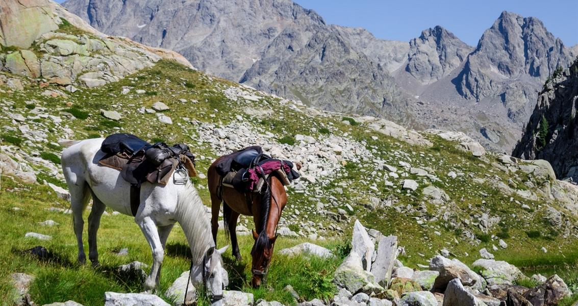 Horseback riding in Corsica - Naturist holidays Domaine de Bagheera