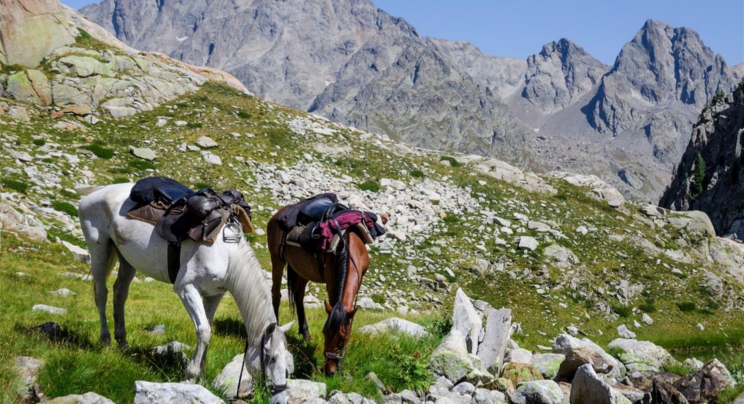 Horseback riding in Corsica - Naturist holidays Domaine de Bagheera