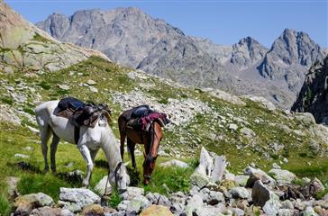 Horseback riding in Corsica - Naturist holidays Domaine de Bagheera