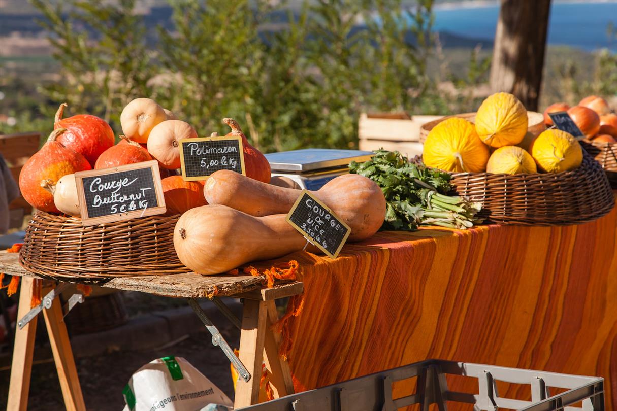 Authentic Corsica products - Bagheera 3 star naturist tourist residence in Corsica
