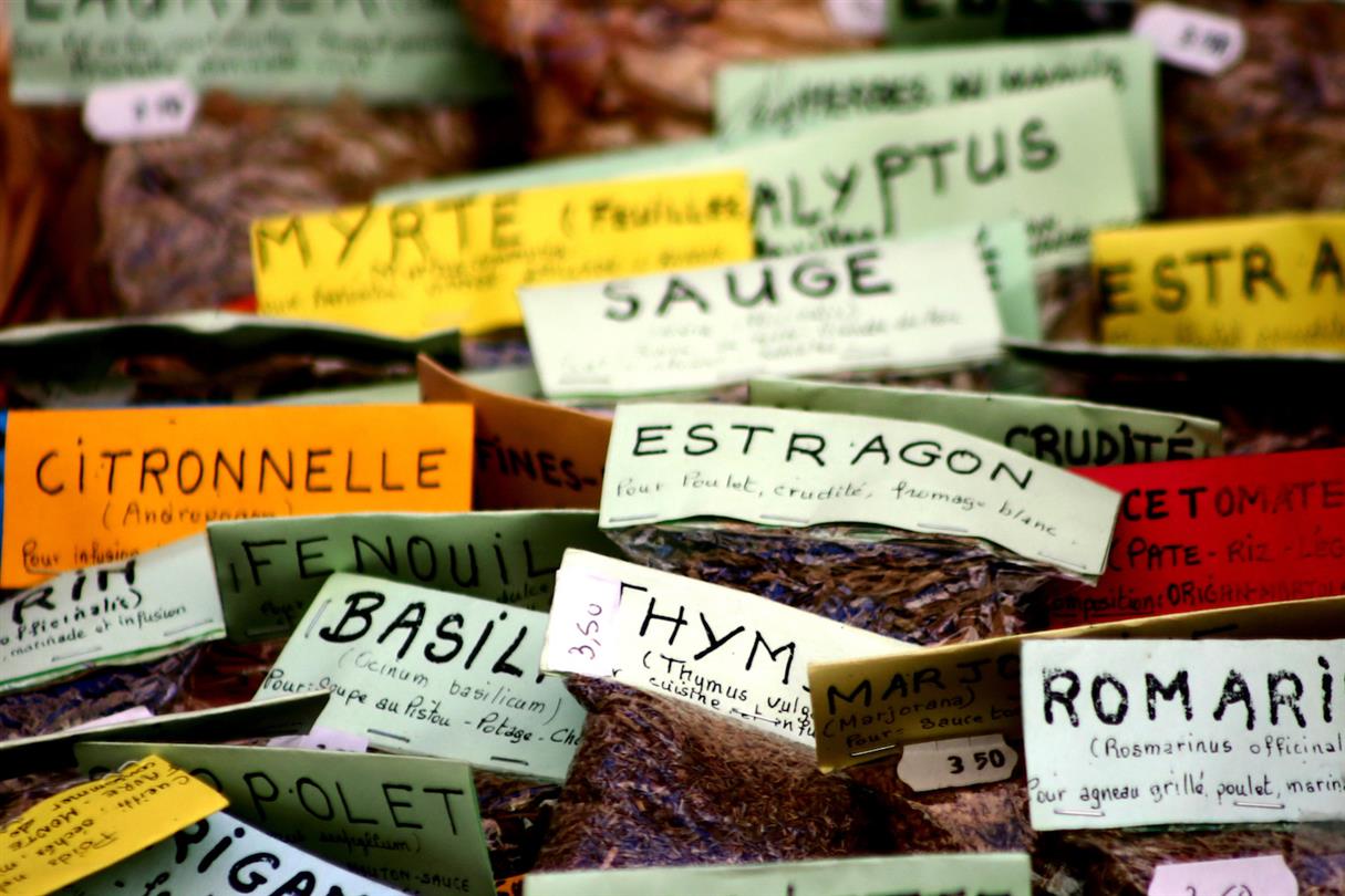 Aromatic herbs - Corsican naturist holiday village