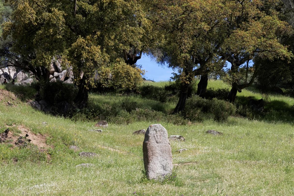 Corsican Heritage - Domaine de Bagheera, Corsica naturist center