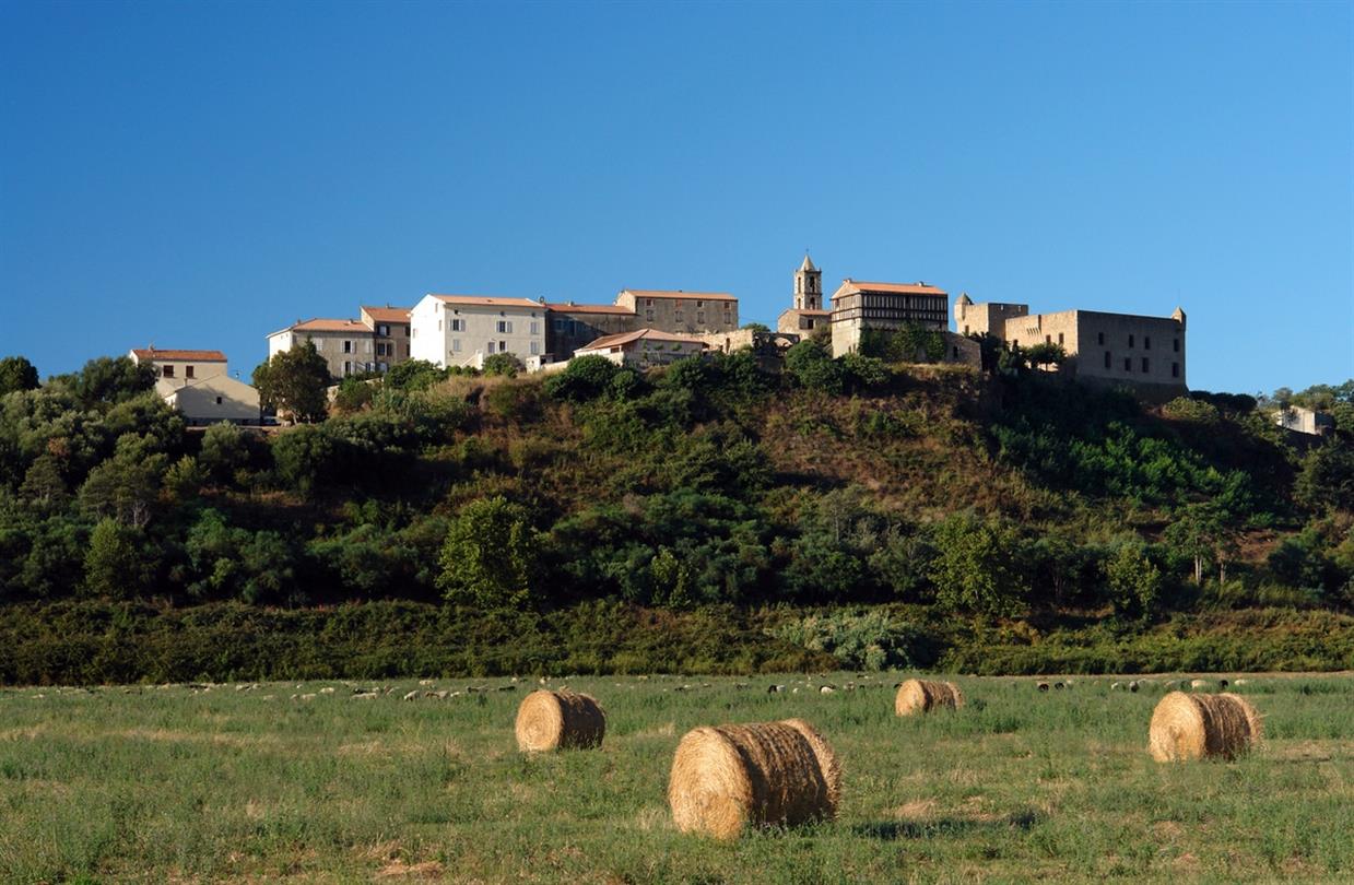 Archaeological Museum Aleria - Domaine de Bagheera, naturist campsite Corsica