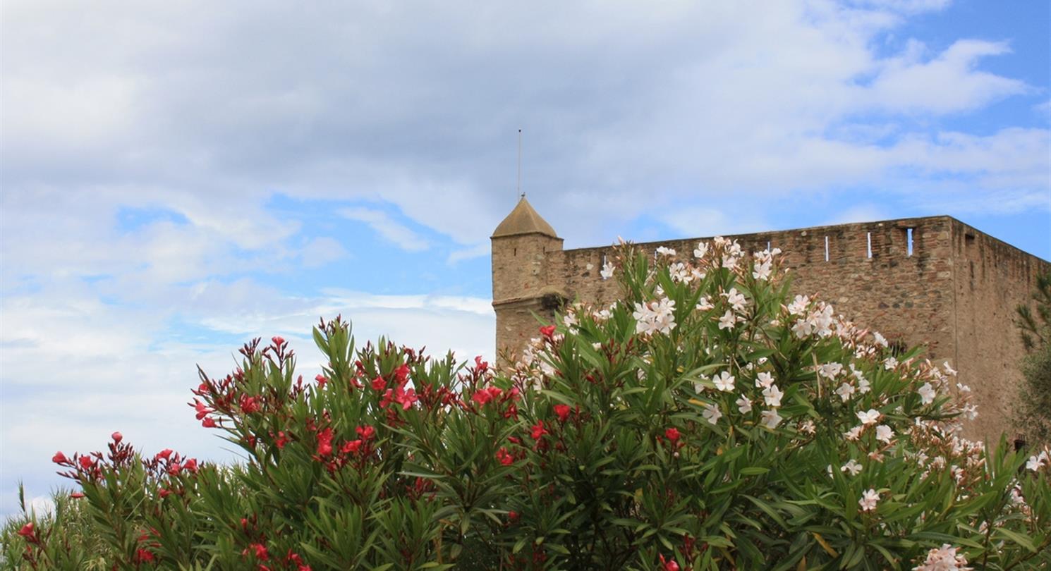 Fort Matra Aleria - Domaine de Bagheera, naturist tourism residence