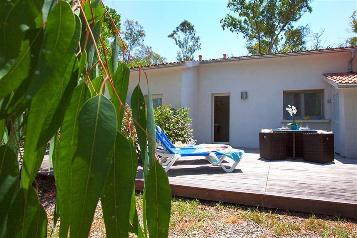Early Booking Offer -  Naturist Campsite Corsica