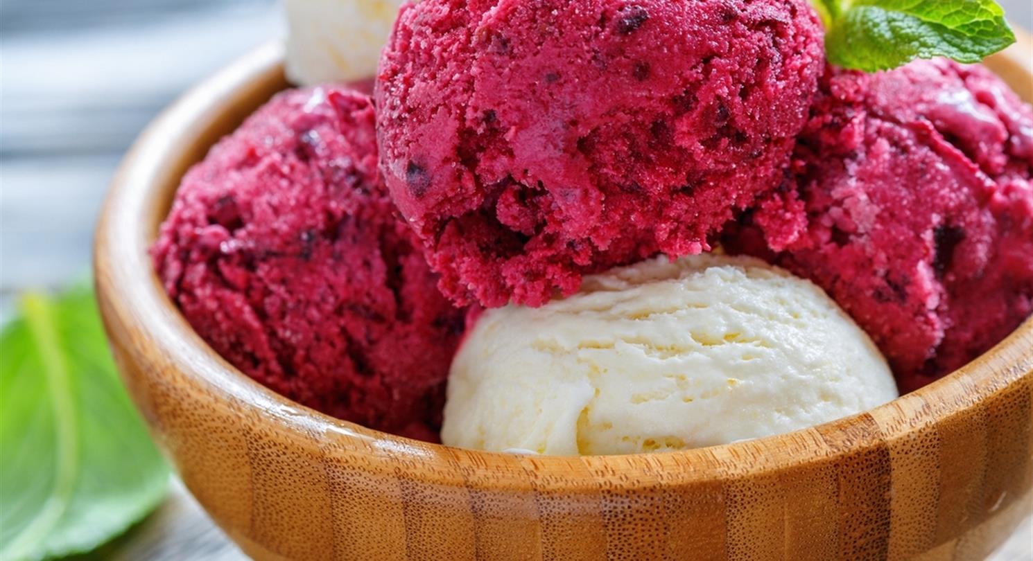 Ice creams and sorbets - Naturist holidays in Corsica Bagheera