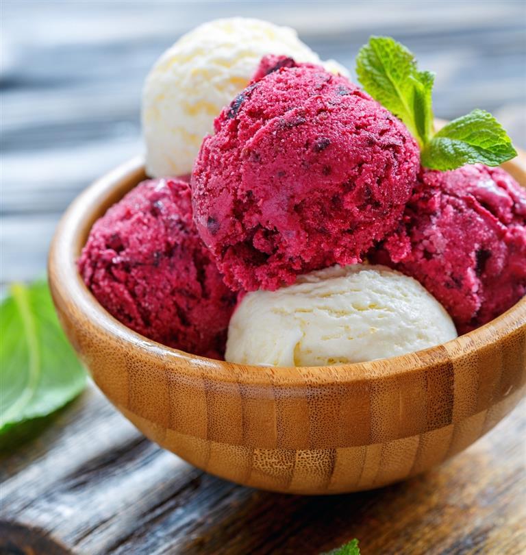 Ice creams and sorbets - Naturist holidays in Corsica Bagheera