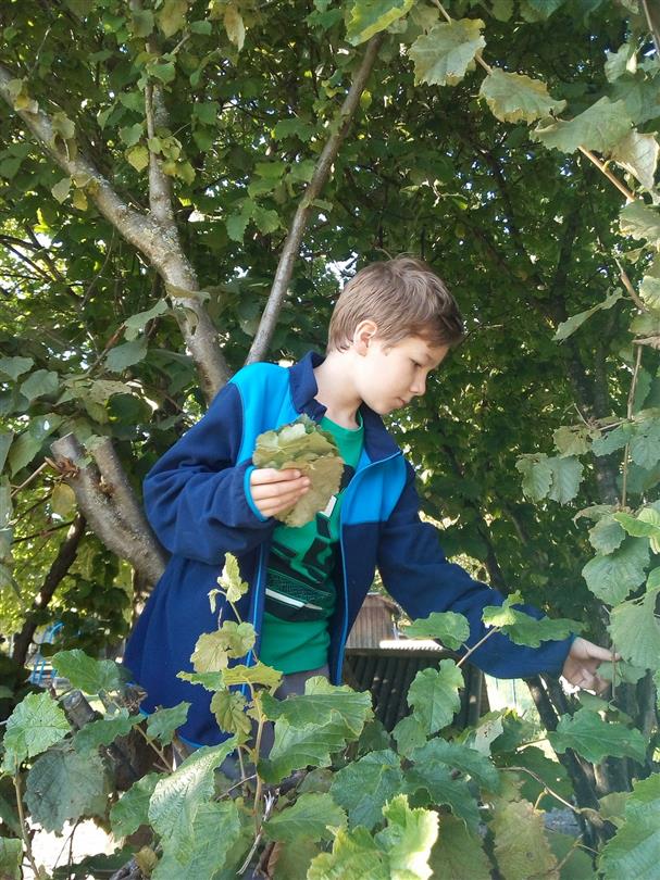 leisure activities for children - Bagheera, naturist campsite Corsican with sea view