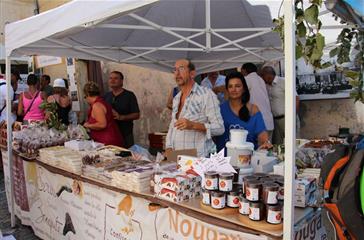 Hazelnut fair in August Cervioni - Domaine de Bagheera, naturist campsite in Corsica
