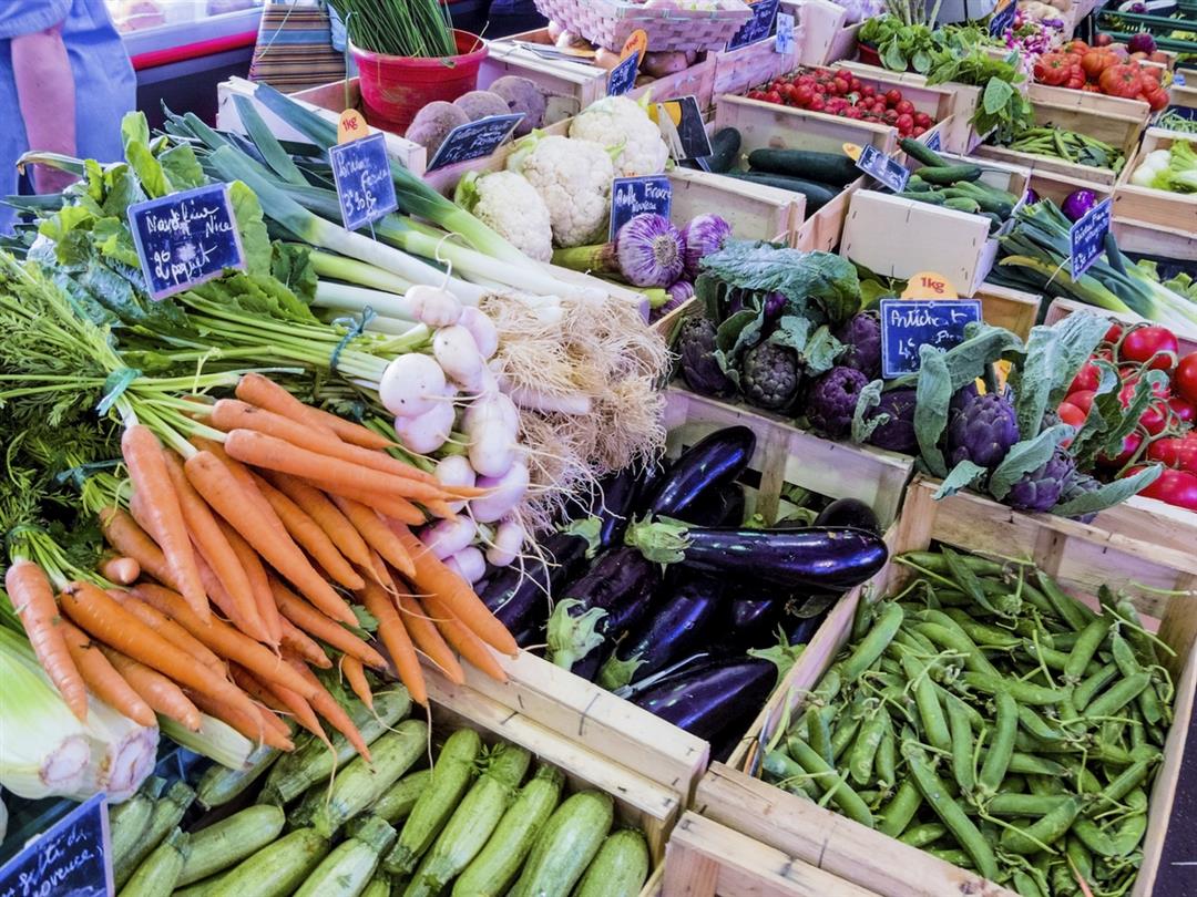 Market of local producers Bravone every Thursday in Corsica - Domaine de Bagheera