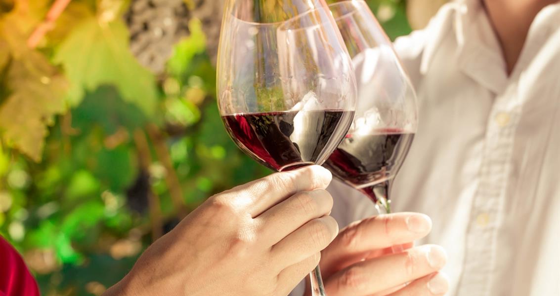 Linguizzetta wine tasting - Domaine de Bagheera, naturist campsite Corsica