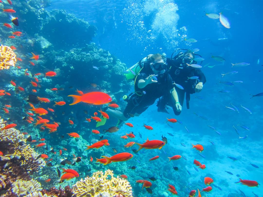 Scuba diving in Corsica near Corsican naturist campsite - Domaine de Bagheera Bravone