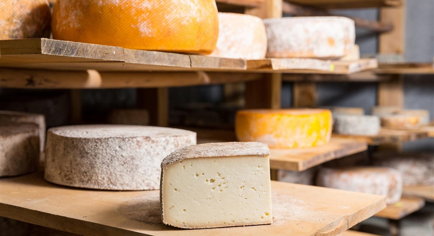  cheeses Corsica - Naturist holidays in Corsica Bagheera, naturist campsite