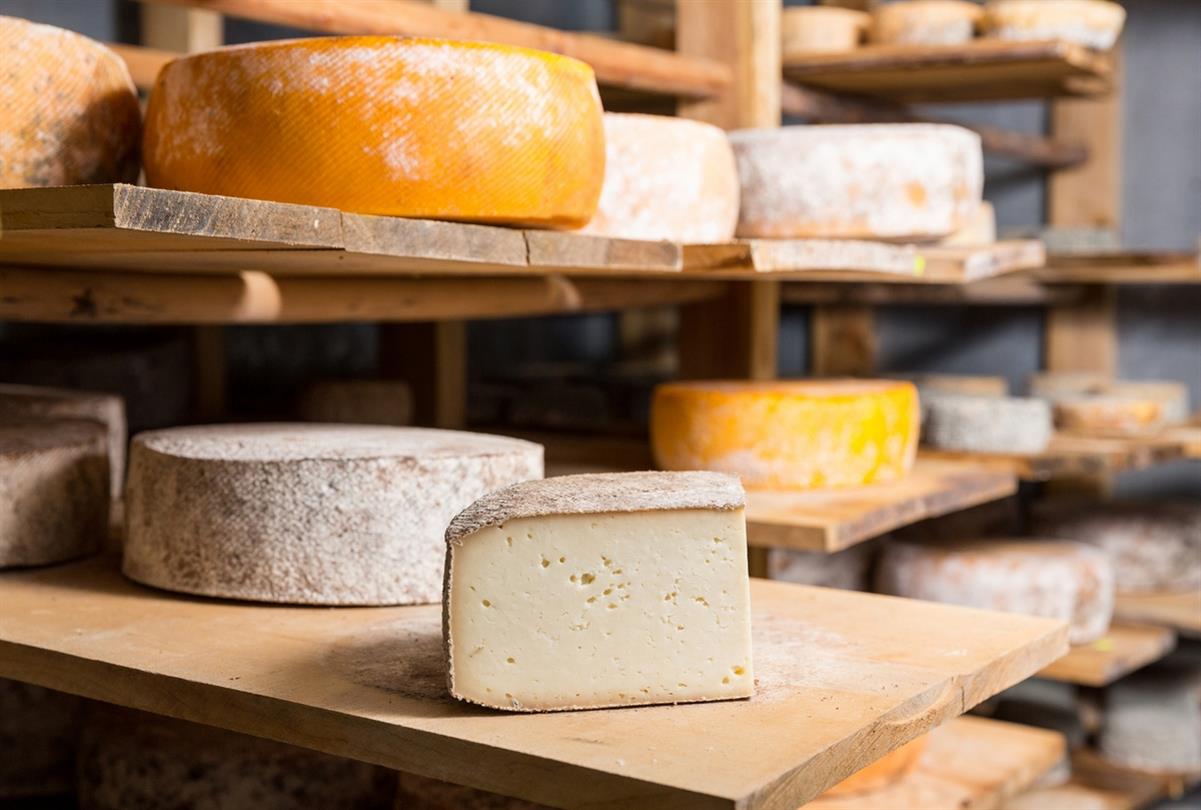  cheeses Corsica - Naturist holidays in Corsica Bagheera, naturist campsite