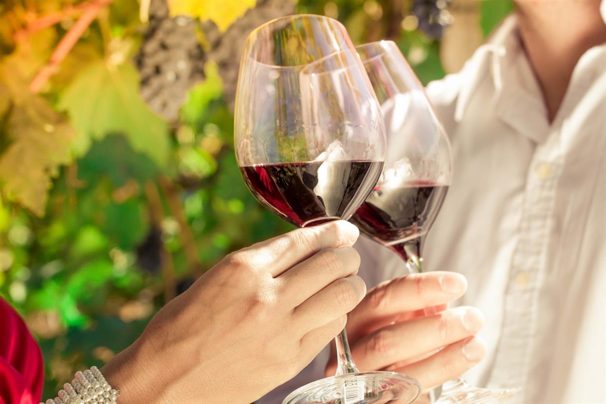 Corsica wine tasting - Stay at the Bagheera naturist holiday village, naturist campsite in Corsica