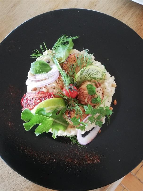 Risotto with scallops