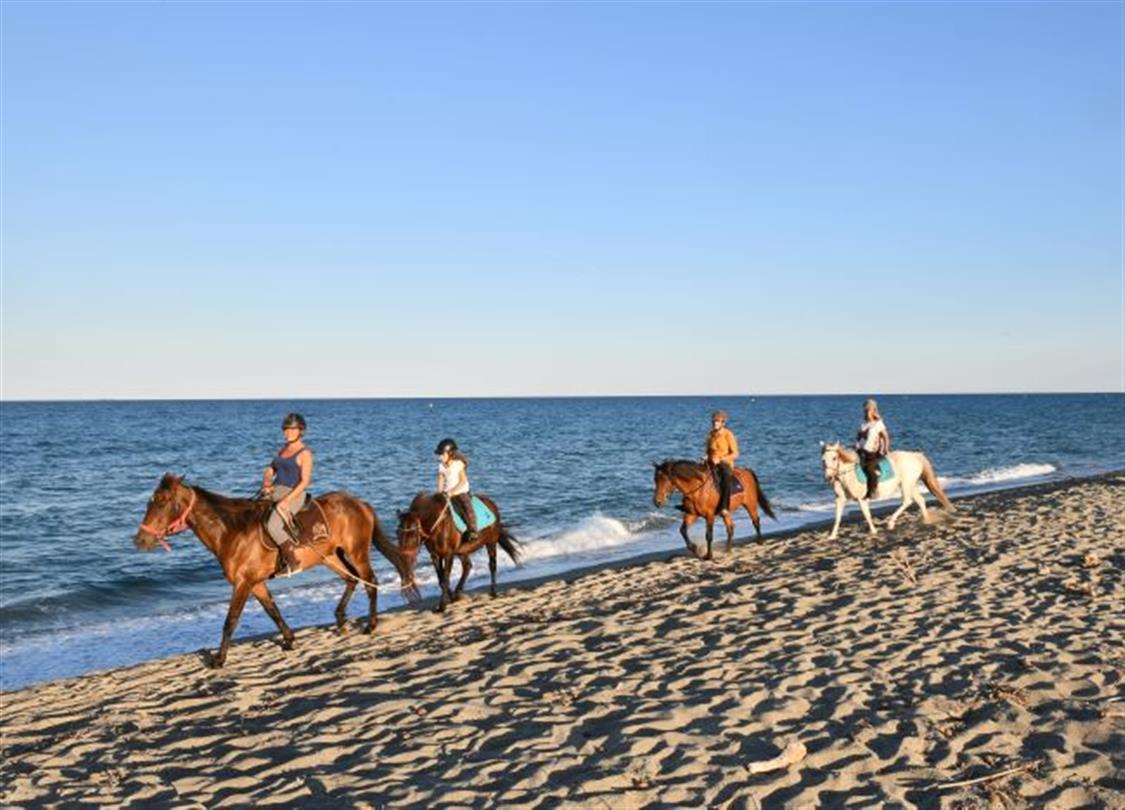  Horseback riding on the long sandy beach