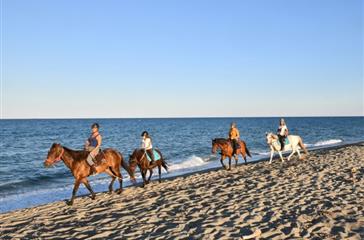  Horseback riding on the long sandy beach