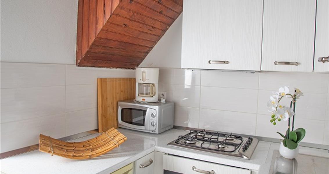 Villa Type B1 - Mini villa