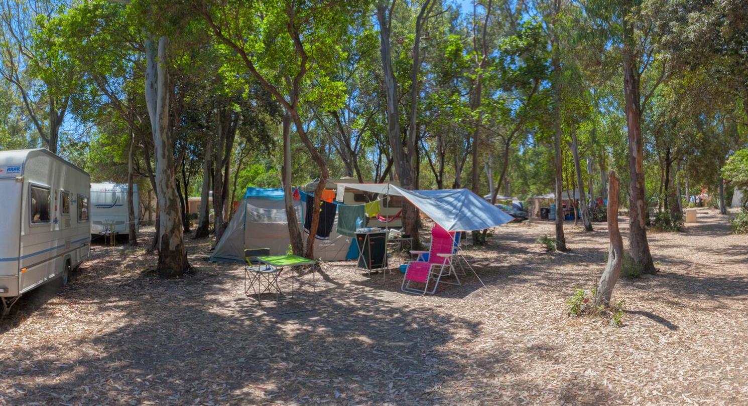 Camping pitches by the sea 4 Stars Corsica, Linguizzetta - Domaine de Bagheera