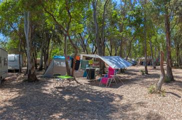 Camping pitches by the sea 4 Stars Corsica, Linguizzetta - Domaine de Bagheera