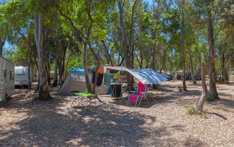 Camping pitches by the sea 4 Stars Corsica, Linguizzetta - Domaine de Bagheera