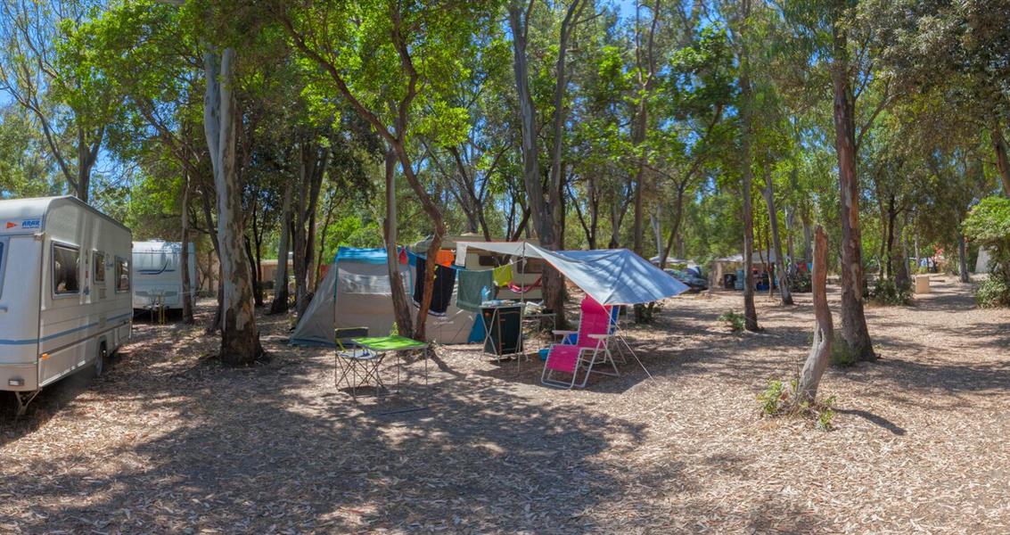 Camping pitches by the sea 4 Stars Corsica, Linguizzetta - Domaine de Bagheera