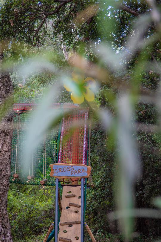 adventure trail