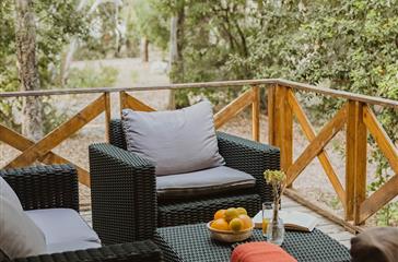  Family holidays, Chalet terrace in your naturist campsite in Corsica